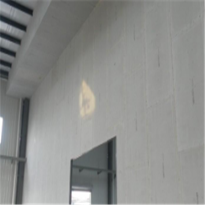 金山新型建筑材料掺多种工业废渣的ALC|ACC|FPS模块板材轻质隔墙板